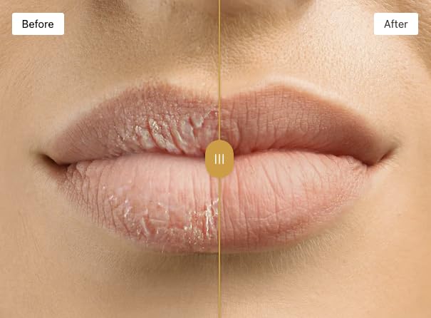 Hydrating Lip Balm by Omorfee for Dry, Cracked Lips - Repair & Treatment - Moisturizer for Soft, Smooth, Supple Lips - Conditioning Lip Balm Beauty and Personal Care OMORFEE BE EXOTIC OF