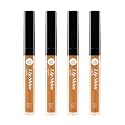 NICKA K NEW YORK Lip Shine, Cosmetics, vibrant colors, bright colors, shining lips, lip shine, long lasting (AMZ233)