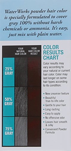 Water Works Water Activated Permanent Powder Hair Color for Men and Women, #28 Burgundy