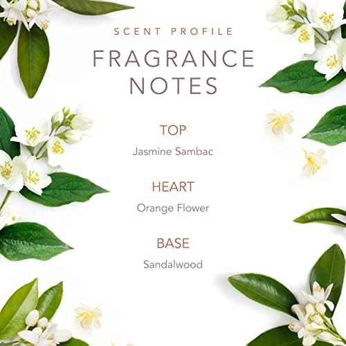 SCENT BEAUTY Early Morning Breeze by Dolly Parton - Eau De Toilette - Casual, Daytime Dolly Parton Perfume for Women with Notes of Jasmine Sambac,