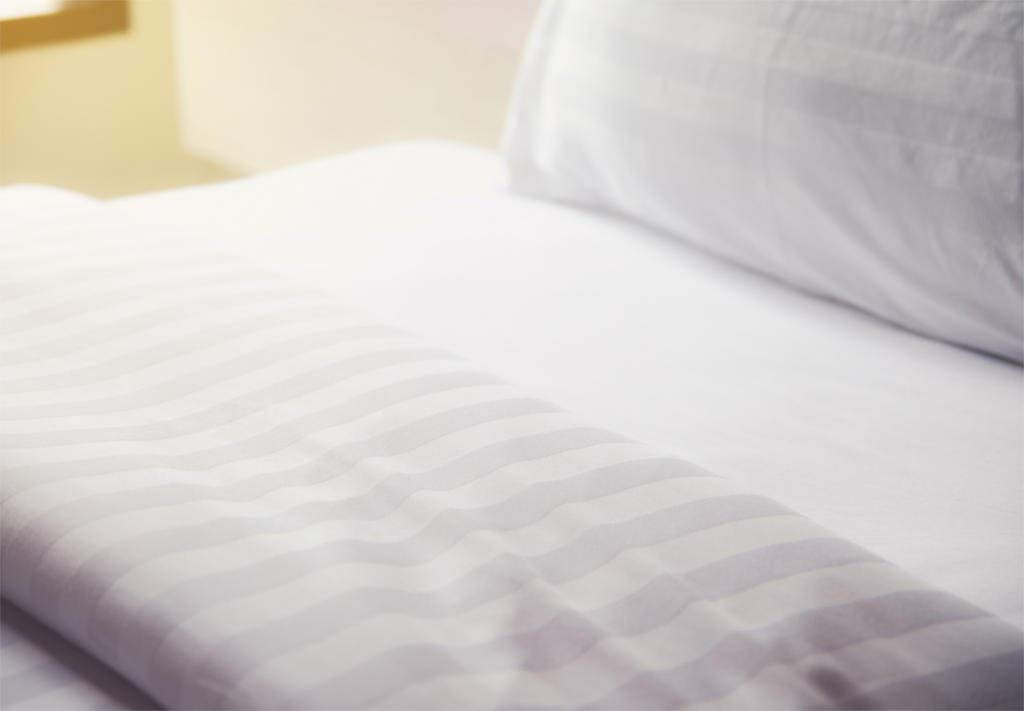 TREND BEDDING MART TBM 3 PC Striped Bedsheet - 1 Flat/Top Sheet with 2 Pillowcases Smooth Touch Hotel Quality 100% Egyptian Cotton 800 Thread Count