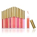 Beauty Concepts Lip Gloss Collection - Shimmering, Glossy Lip Makeup Set for a Radiant Finish, Glitter Floral