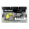 Mia Secret Acrylic Powder - Grey Jungle 6pcs (Grey Jungle 6 Piece) Nail Art Powder Collection Beauty & Personal Care Mia Secret