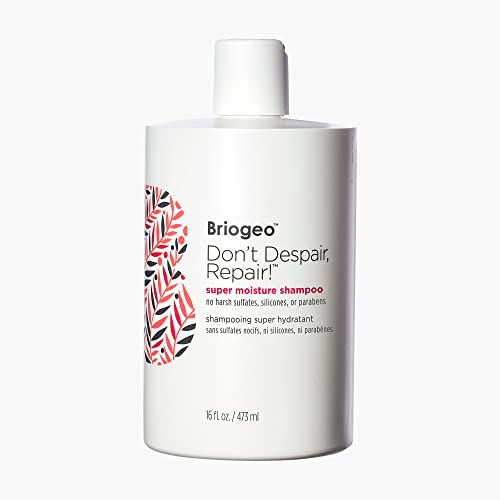 Briogeo Don't Despair, Repair! Super Moisture Shampoo, Dry Damaged Hair, Hair Shampoo with Argan Oil for Hair, Hair Moisturizer Hair Treatment