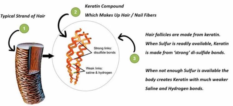 Argan Oil From Morocco Keratin Smoothing Serum For All Hair Types | Shine & Frizz Control, Purple