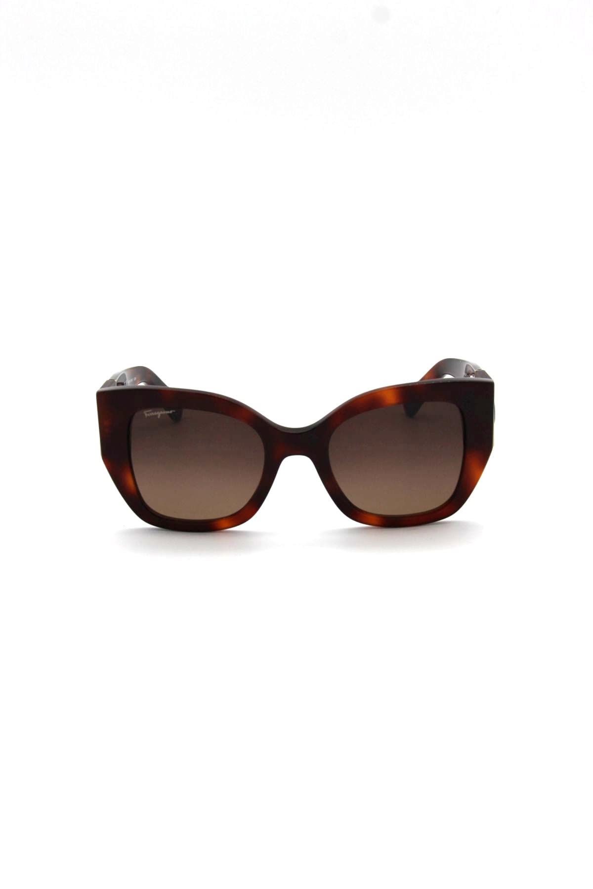 Salvatore Ferragamo Brown Acetate Women's Sunglasses