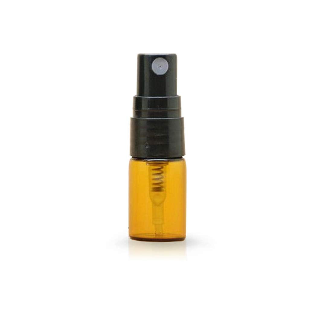 ZbFwmx 2ML Empty Mini Perfume Glass Bottle Mist Spray Pump Sample Pen Contaier Small Perfumes Atomizer Sprayer Vial Containers (10 Pack Set)