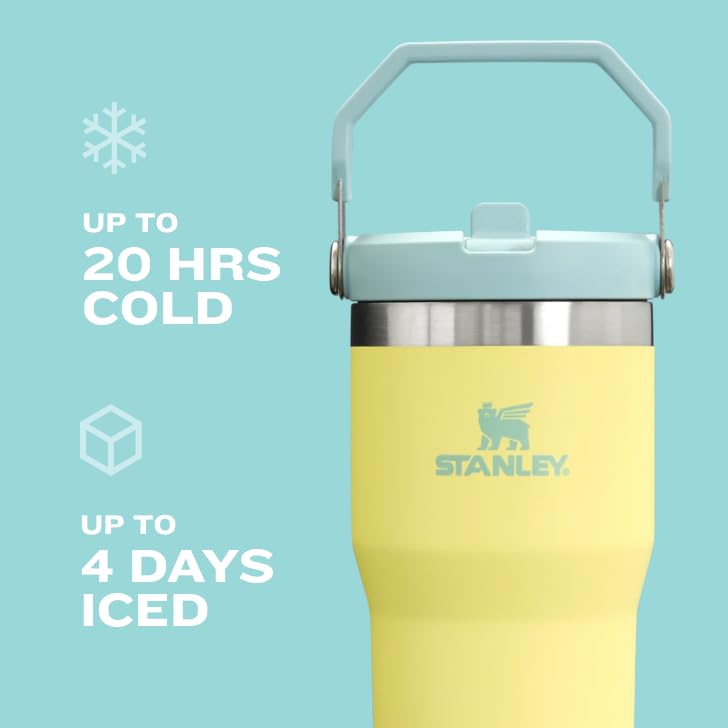 Stanley IceFlow 2.0 Flip Straw Tumbler with Handle 30 oz | Twist On Lid and Flip Up Straw | Leak Resistant Water Bottle | Insulated Stainless Steel