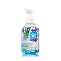 Bath & Body Works Gentle Foaming Hand Soap Honolulu Sun Beauty & Personal Care Bath & Body Works