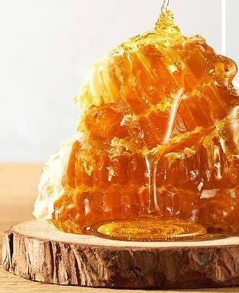 Elastin Propolitera Oil Serum 170ml / 5.8 fl oz