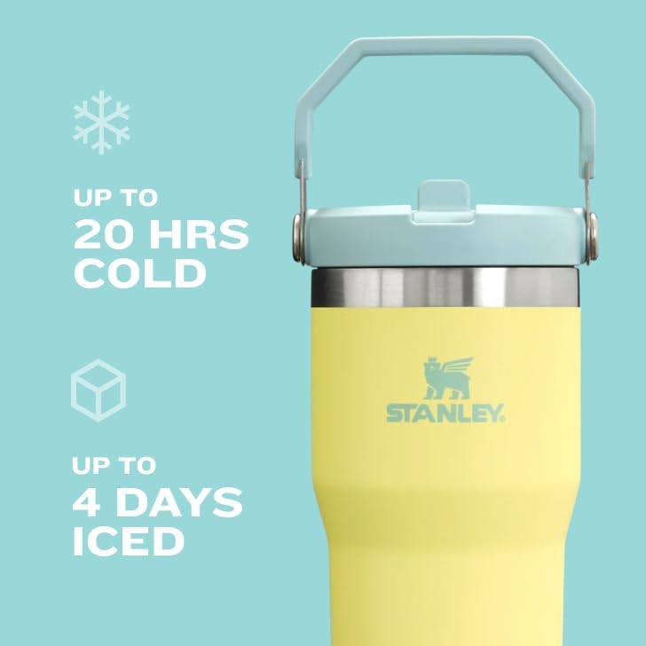 STANLEY IceFlow 2.0 Flip Straw Tumbler with Handle 20 oz | Twist On Lid and Flip Up Straw | Leak Resistant Water Bottle | Insulated Stainless Steel…