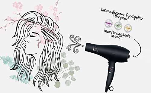 StyleScent Blow Dryer
