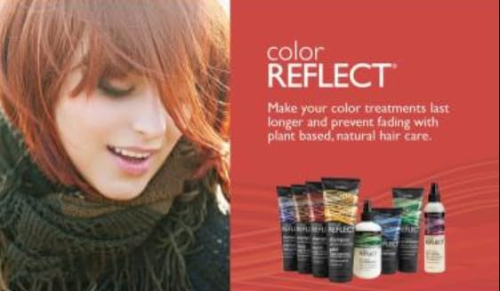 Shikai: Color Reflect Platinum Shampoo, 8 oz (6 pack)