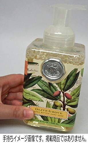 Michel Design Works Scented Foaming Hand Soap, Season's Greetings Beauty & Personal Care Michel Design Works
