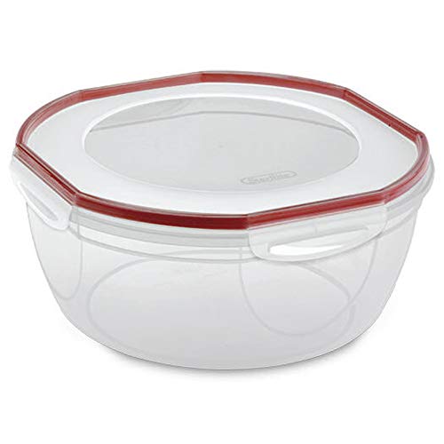 STERILITE Plastic Bowl, 1 Count, Clear