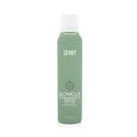 SURFACE Hair Blowout Hair Texture Spray for Women and Men, 4 oz - Heat Protecting, Volumizing Spray Lychee and Maracuja Oil - Premium Blowout Hair
