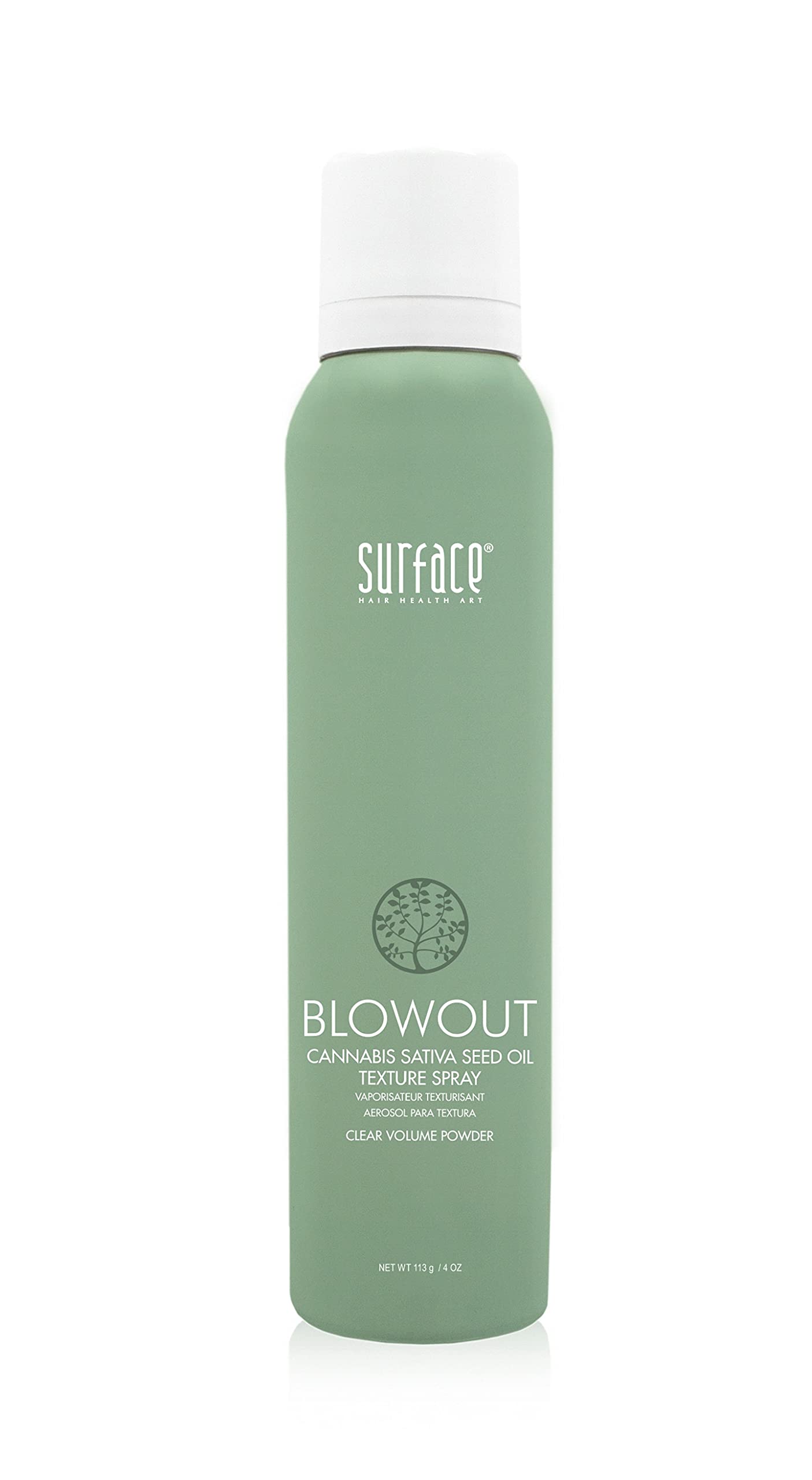 SURFACE Hair Blowout Hair Texture Spray for Women and Men, 4 oz - Heat Protecting, Volumizing Spray Lychee and Maracuja Oil - Premium Blowout Hair