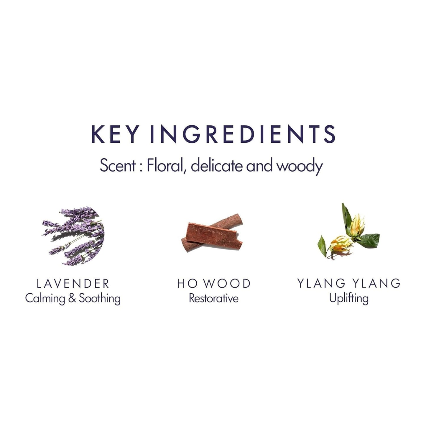 Aromatherapy Associates Balance Replenishing Conditioner, Hydrating Vegan Conditioner for Women and Men with Lavender & Ylang Ylang, Daily Hair Care