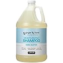 Ginger Lily Farms Club & Fitness Moisturizing Shampoo for All Hair Types, 100% Vegan & Cruelty-Free, Rain Water Scent, 1 Gallon (128 fl oz) Refill