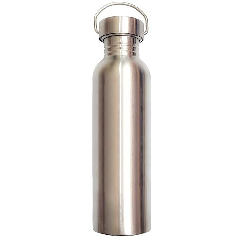 Stainless Steel Water Bottle, Uninsulated Leak Proof Sports Bottle, Wide Opening, with Carrying Loop, Silver 25 oz
