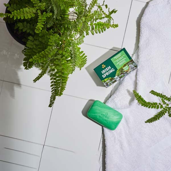 IRISH SPRING SOAP 2PK by IRISH SPRING MfrPartNo CPC 14424