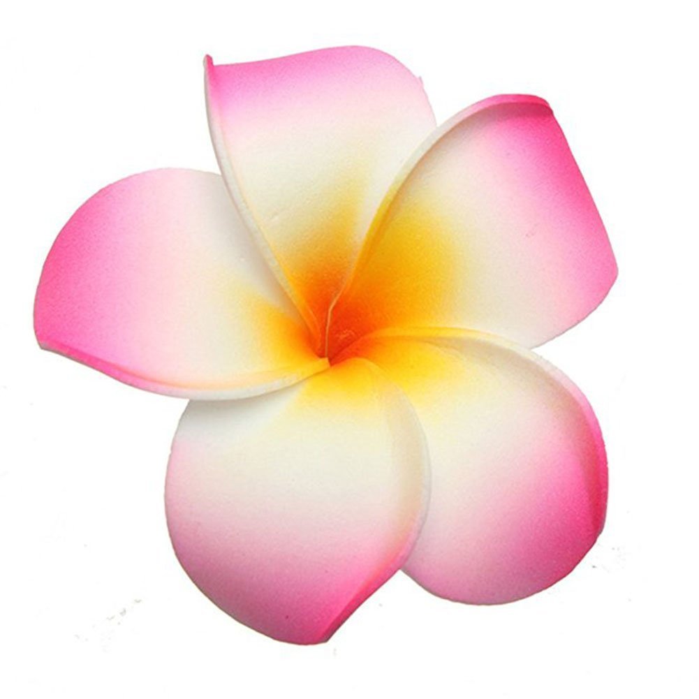 Hustar 10 Pcs 5CM Artificial Hawaiian Plumeria Flower Hair Clips Hair Accessories for Beach Fancy Dress
