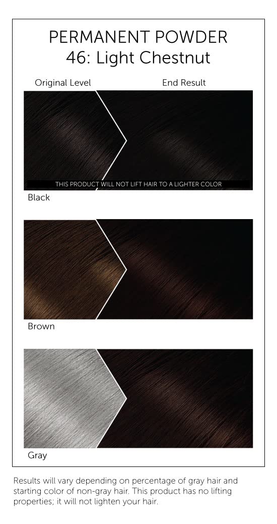 Bigen Powder Hair Color #46 Light Chestnut 0.21oz (3 Pack)