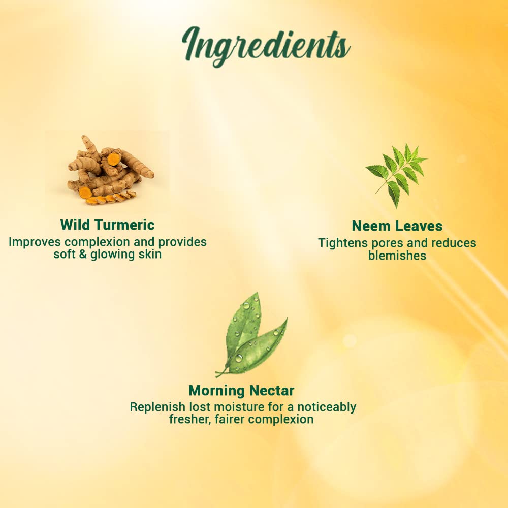 Biotique Botanicals Morning Nectar Lotion, 4.05 Fluid Ounce
