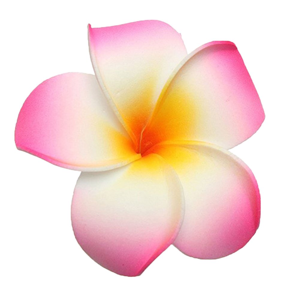 GSHLLO 10 Pcs 7cm Multicolor Hawaiian Hair Clip Beach Foam Flower Headpieces for Wedding Party Accessories