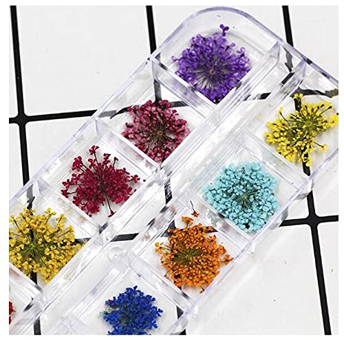 Sinen 1 Box Dried Flowers and 1 Box Fruit Slices for Nail Art, 3D Dry Flowers Nail Stickers ,Colorful Natural Real Flower Nail Decals, Fruit Fimo