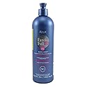 Roux Fanci-Full Rinse #42 Silver Lining 15.2 Ounce (450ml) (2 Pack)