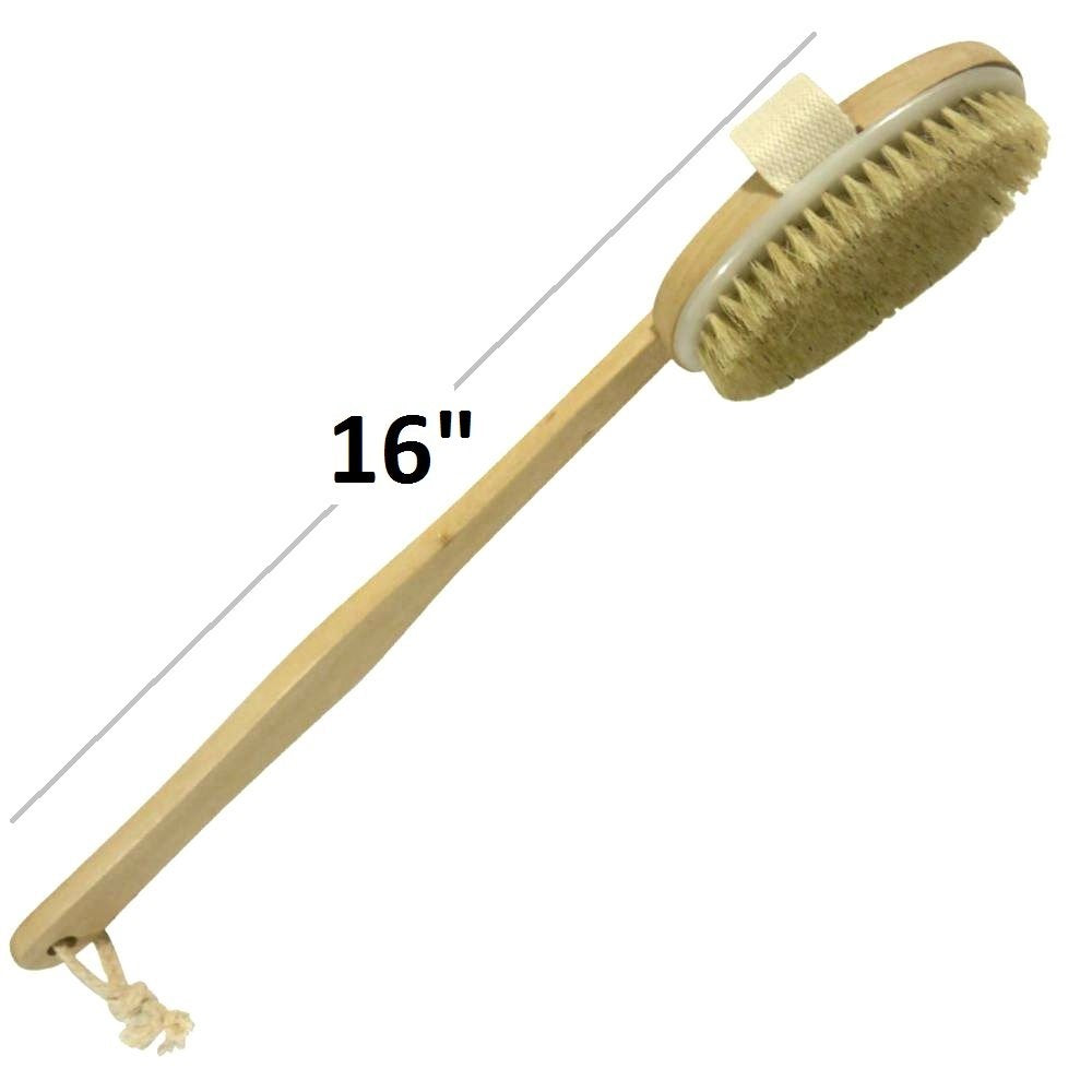 Dry Skin Body Brush 16"- Natural Bristle - For Dry Brushing - Detachable Handle -Removes Dead Skin & Toxins, Helps Cellulite, Lymphatic Functions