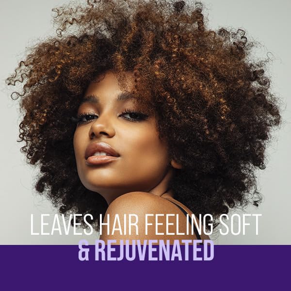 The Mane Choice The Alpha 3-in-1 Conditioner: Co-Wash, Moisturizing Leave-In Conditioner & Detangler for Coily, Wavy, or Curly Hair, Refresh