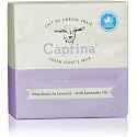 Caprina by Canus Goat Milk Soap Bar, LAVENDER OIL, 3.2 oz (90 g) Bars, 3-Pack, Moisturizing Daily Cleanser for Face, Hands & Body, Fresh Canadian Goat