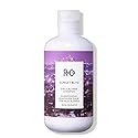 R+Co Sunset Blvd Daily Blonde Shampoo | Daily Brightening + Combats Brassiness + Hydrating | Vegan + Cruelty-Free | 8.5 Fl Oz