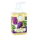 Michel Design Works Foaming Hand Soap, 17.8 Fluid Ounce, Vineyard