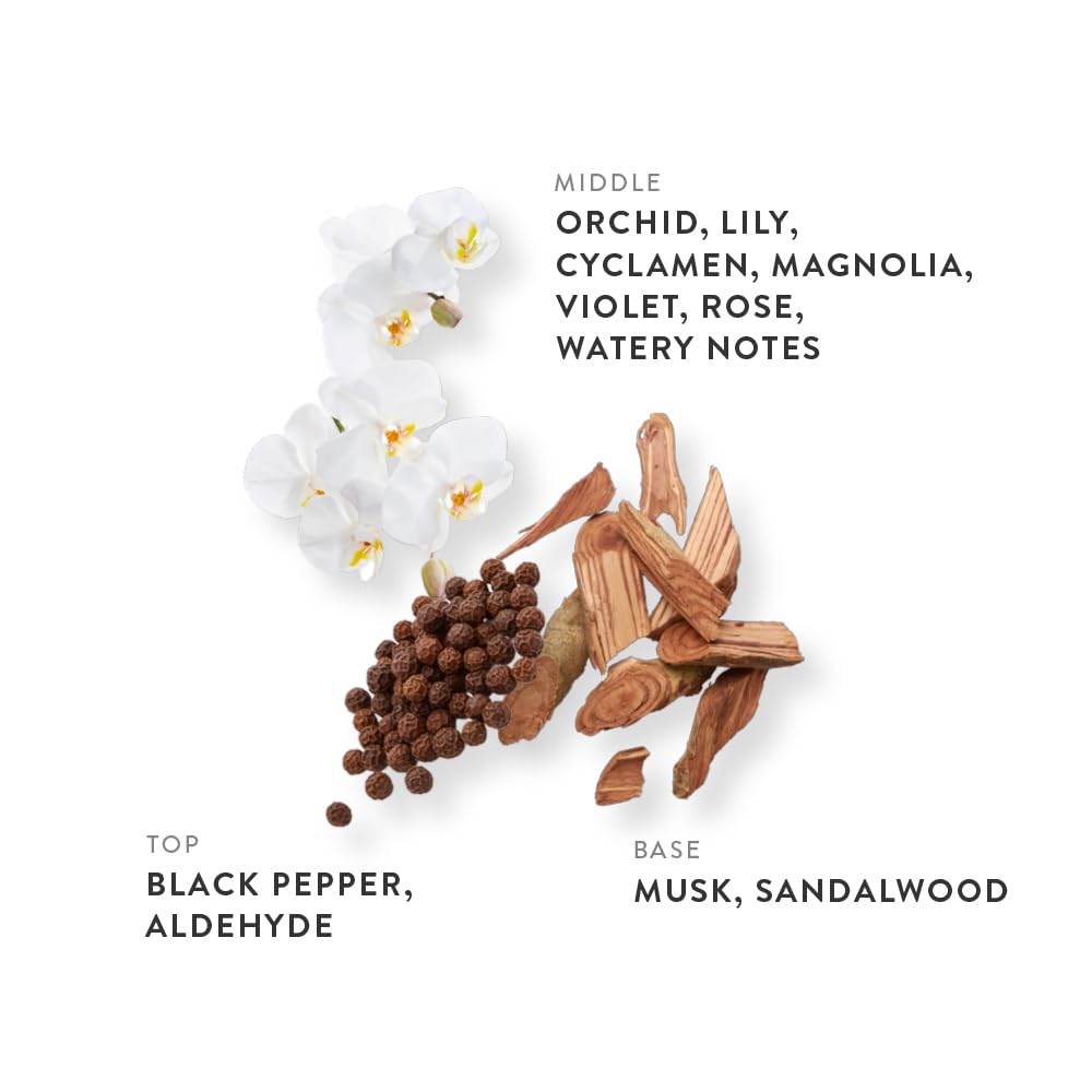 ETLEÉ Cotton Powder Eau de Parfum 0.34oz, Aldehydic Musk Long Lasting Perfume With Sandalwood, Black Pepper, Orchid, Lily & Rose, Layerable Luxury Beauty & Personal Care ETLEÉ