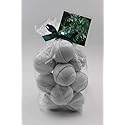 Spa Pure Eucalyptus & Spearmint: Bath Bomb Fizzies, USA Made with Shea Butter, Ultra Moisturizing - Great for Dry Skin (14 Count) Pack of 1