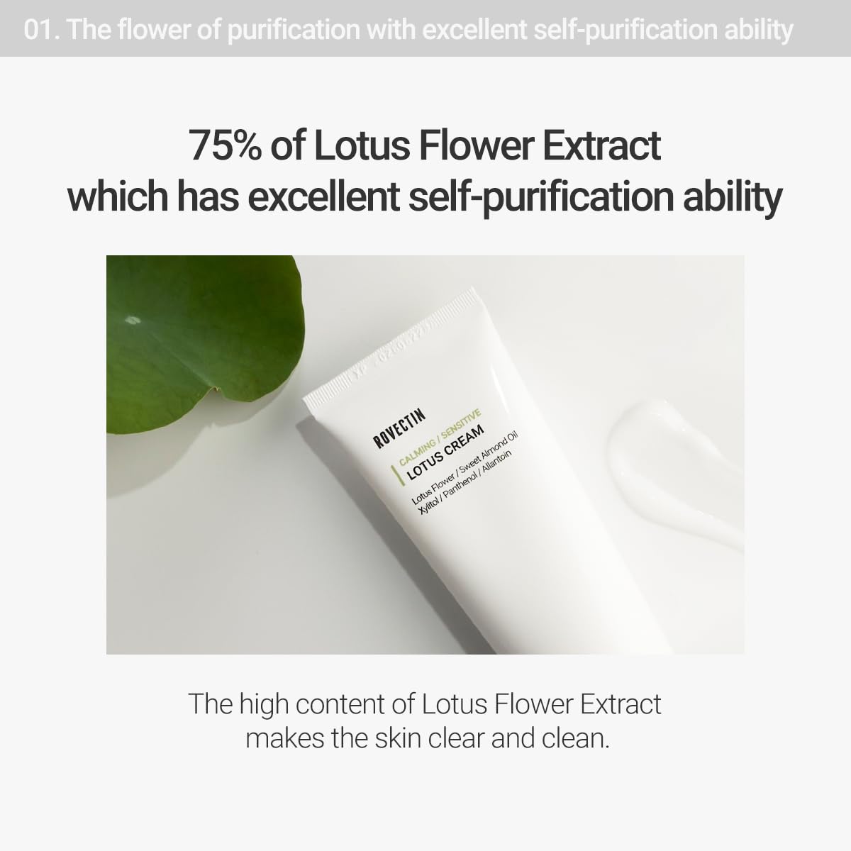 ROVECTIN Calming Lotus Cream - Lightweight Hydrating & Soothing Moisturizer Face Cream for Sensitive Skin | 75% Lotus Water Extract & Niacinamide