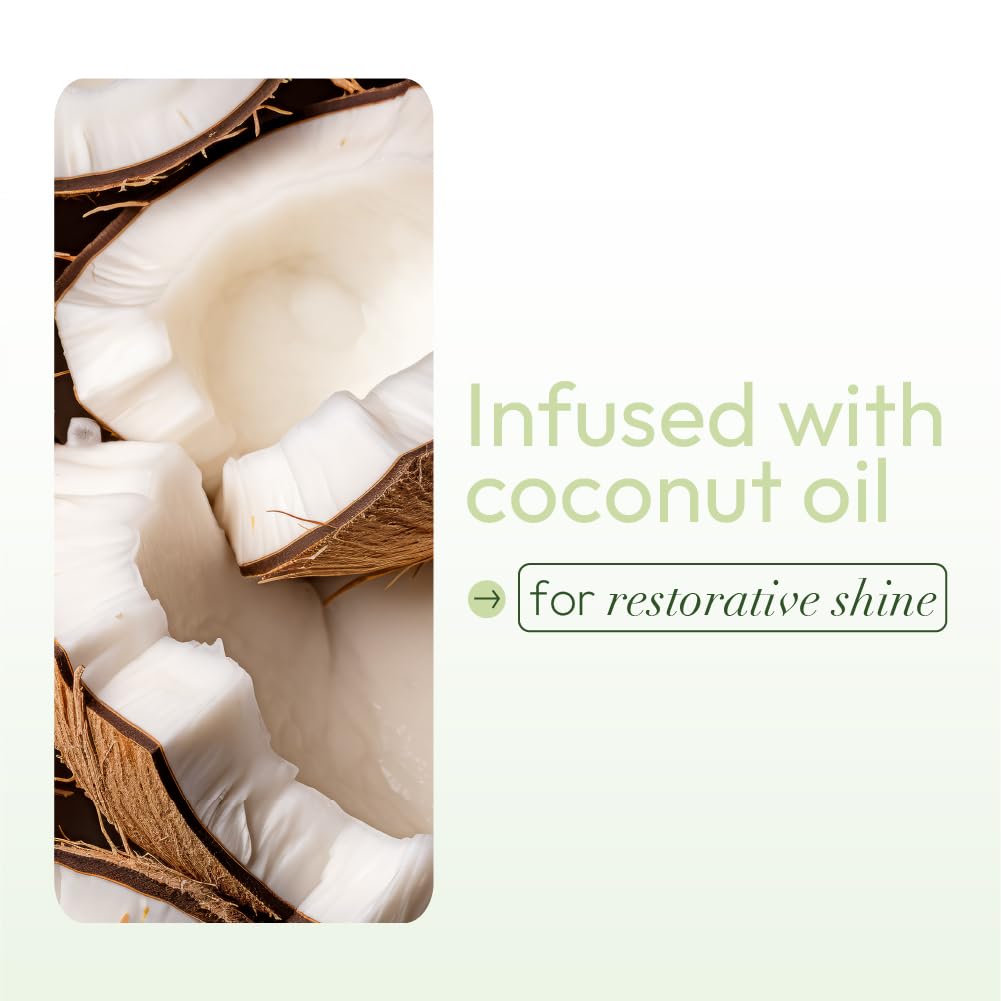 ORS Olive Oil Nourishing Sheen Spray infused with Coconut Oil 10 ounces (Pack of 2)