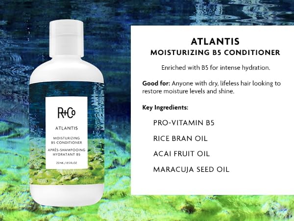 R+Co Atlantis Moisturizing B5 Shampoo and Conditioner Set - Deep Hydration & Repair for Dry, Damaged, Tired Hair - Restores Moisture, Softness & Shine