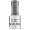 LeChat Perfect Match Gel Polish, Violet Vixen, 0.5 Fl Oz (PMS136) Beauty & Personal Care LECHAT