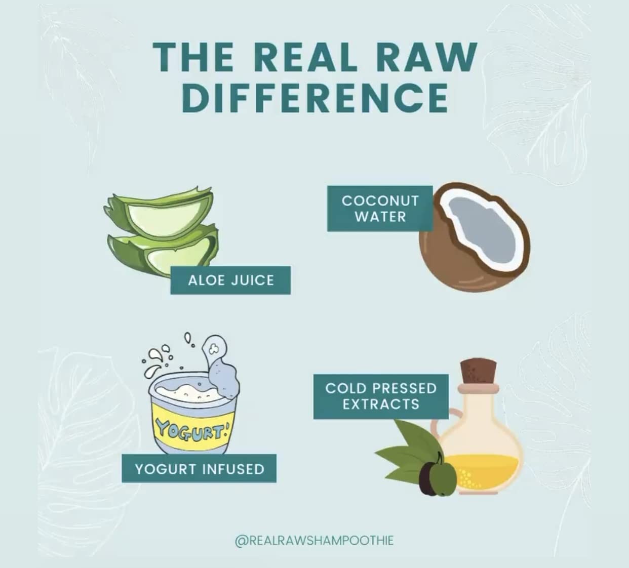Real Raw Biotin Shampoo & Conditioner set - Add Volume + Body - No Water 100% Pure Aloe Juice & Coconut Water - Sulfate & Paraben Free, 12 Fl Oz (Pack