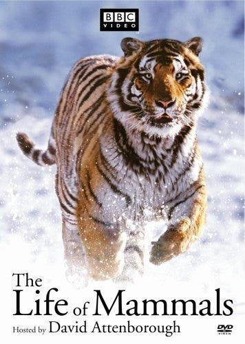The Life Of Mammals Set