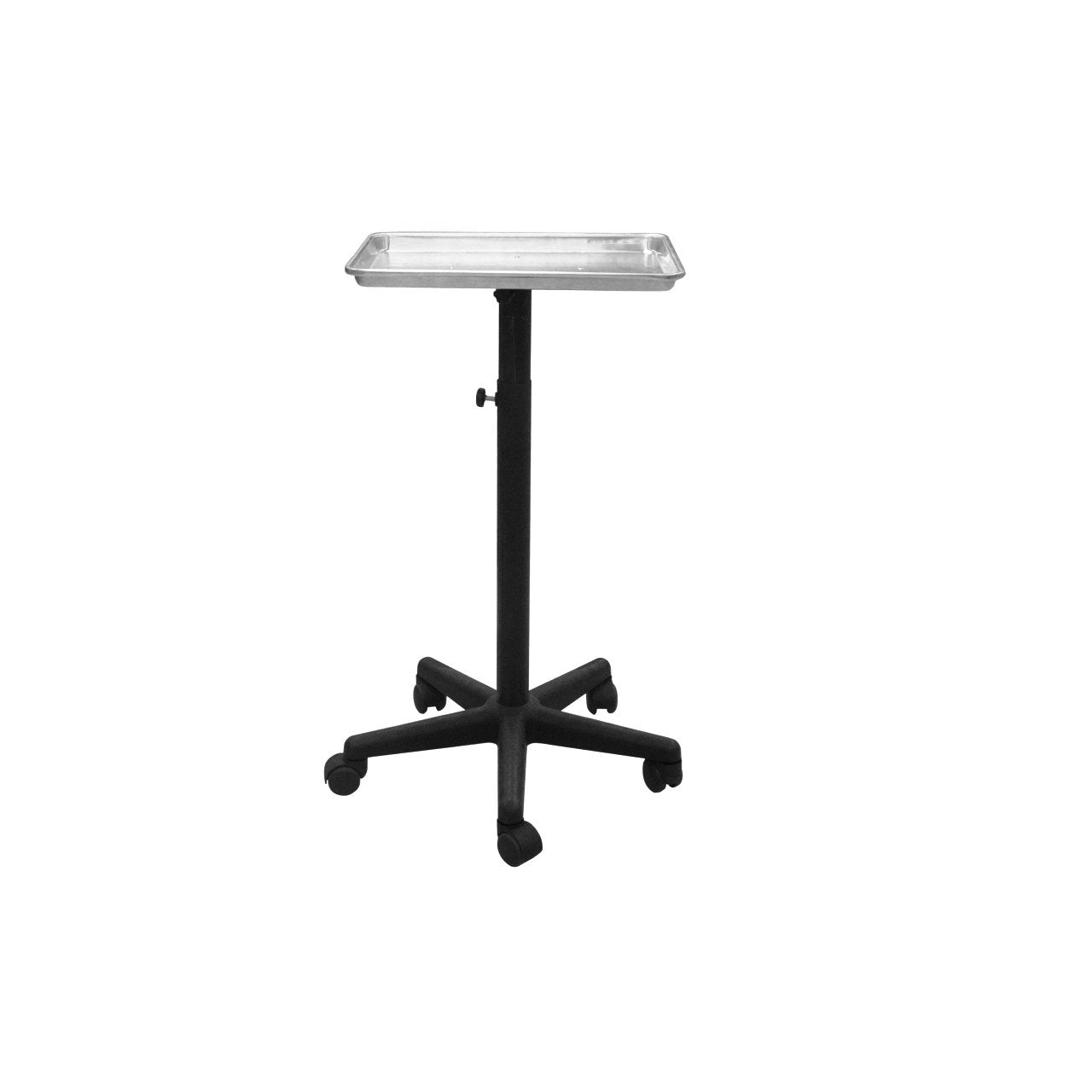 Chromatique Professional Silver Service Tray for Salon Chemical Hair Coloring (Model:T011)
