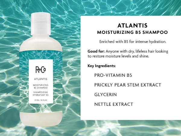 R+Co Atlantis Moisturizing B5 Shampoo and Conditioner Set - Deep Hydration & Repair for Dry, Damaged, Tired Hair - Restores Moisture, Softness & Shine