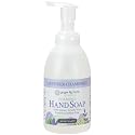 Ginger Lily Farms Botanicals All-Purpose Foaming Hand Soap Refill, 100% Vegan & Cruelty-Free, Lavender Chamomile Scent, 20 Fl Oz (Pack of 1)