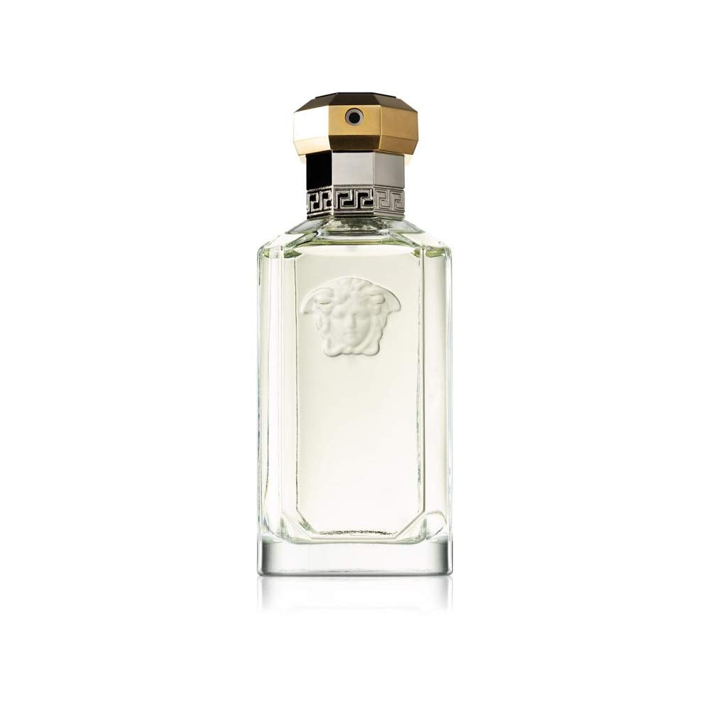 Versace The Dreamer for Men 3.4 oz Eau de Toilette Spray Beauty and Personal Care Versace