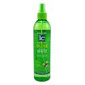 Fantasia Spritz Olive Firm Hold 12 Ounce Pump (354ml) (6 Pack)