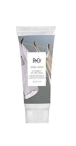 R+Co Cool Wind pH Perfect Air Dry Creme Deluxe | Air Dry Styler Tames Frizz + Hydrates | Vegan + Cruelty-Free | 0.5 Oz